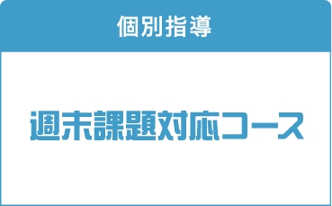 週末課題対応コース